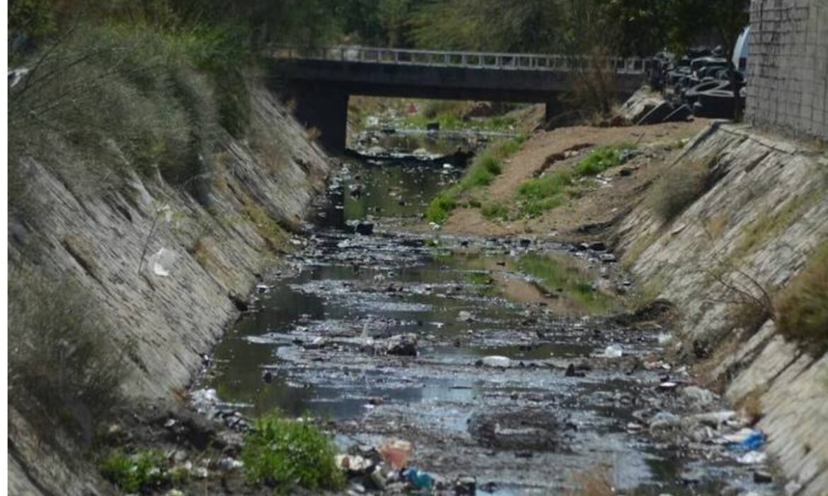 Multas económicas a quien sea sorprendido tirando basura en vía pública